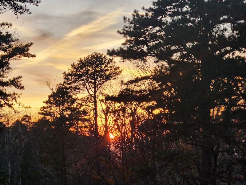 Seasonal Adventures Throughout the Year