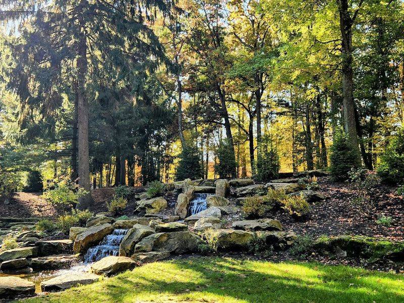 Opening to the Public