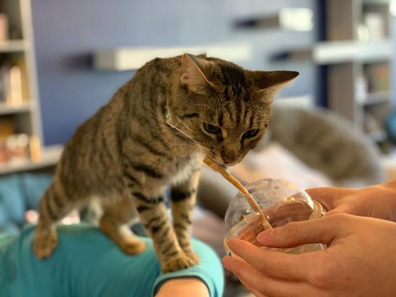 Visitor Information and Tips for Your Visit