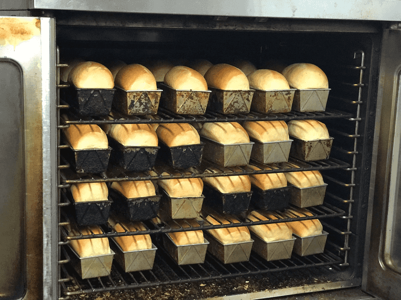 Making It A Rogers Tradition