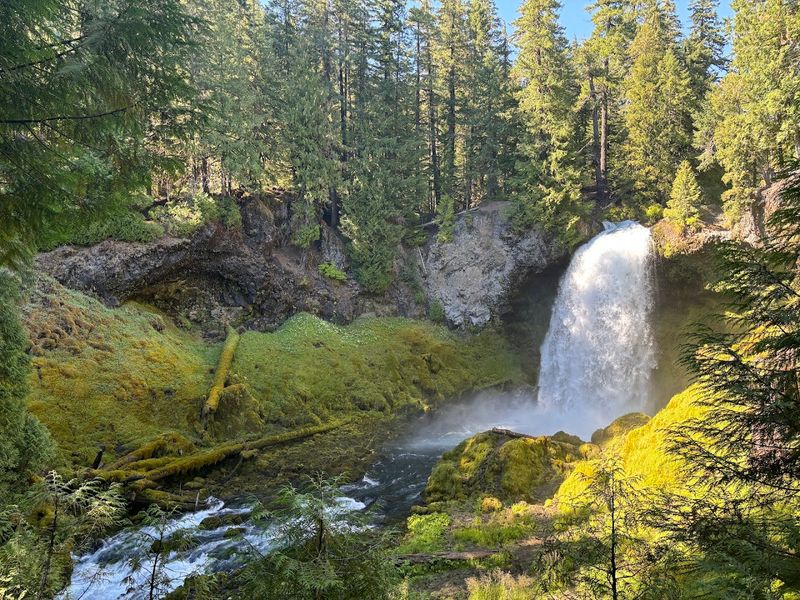 Sahalie & Koosah Falls Loop — McKenzie River, OR