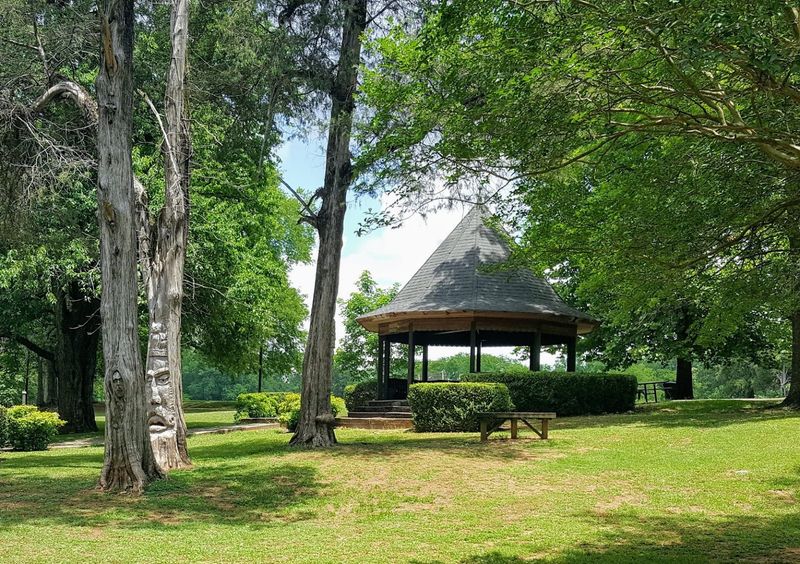 The Setting: Orr Park