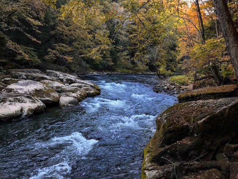 Fishing in the Cold Waters of Slippery Rock Creek