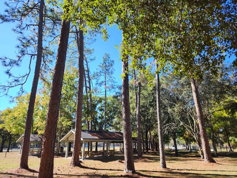 Forest Roads And Trail Riding Etiquette