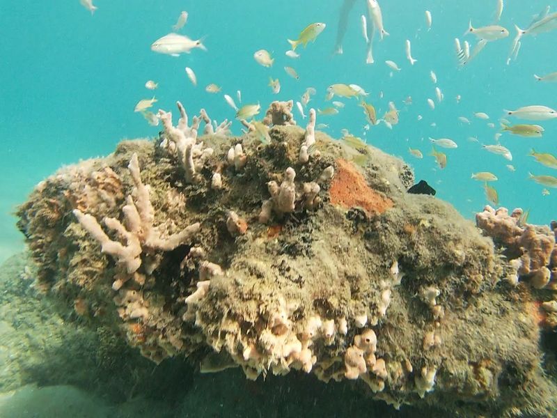 Phil Foster Park (Blue Heron Bridge), Riviera Beach