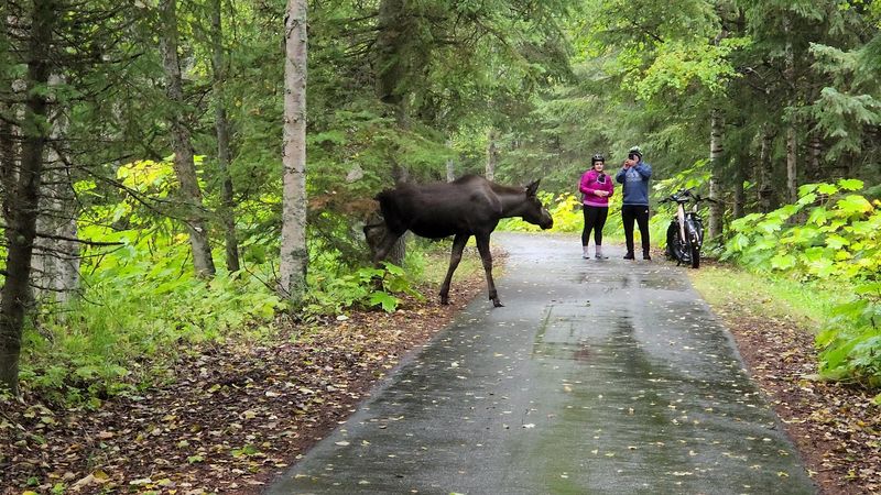 Tony Knowles Coastal Trail - Alaska