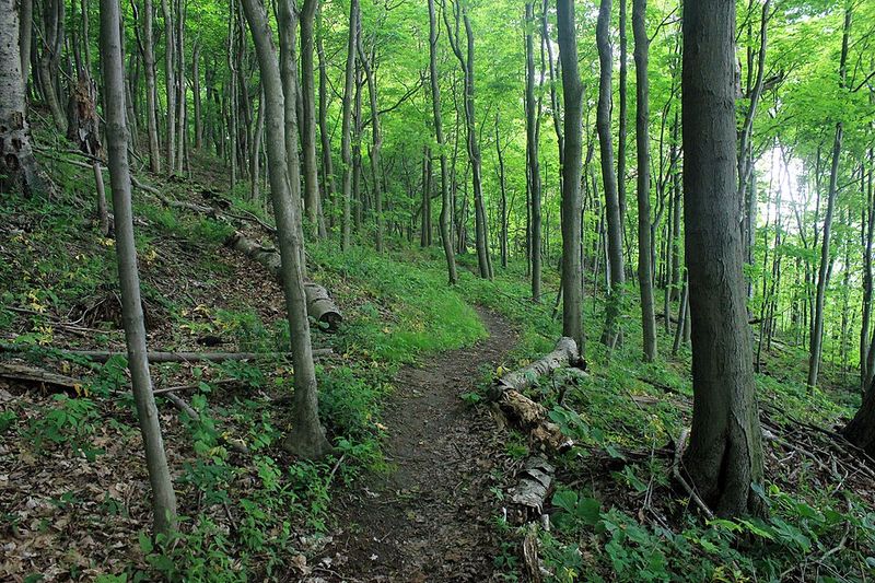 Mountain Biking Rhythm and Trail Etiquette