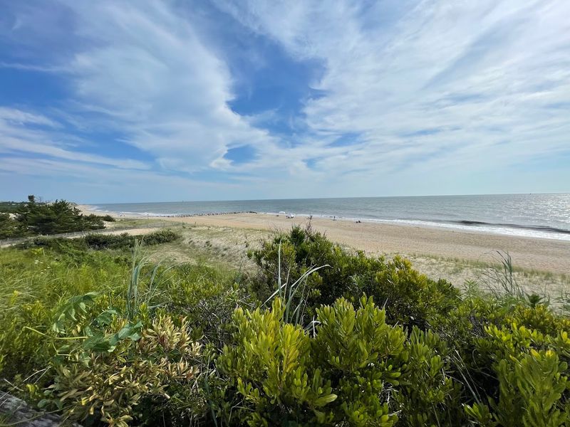 Essential Visitor Information