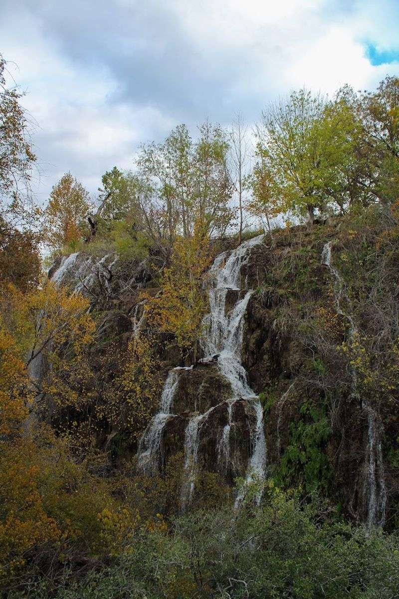Why It Feels Tropical Inside the Canyon