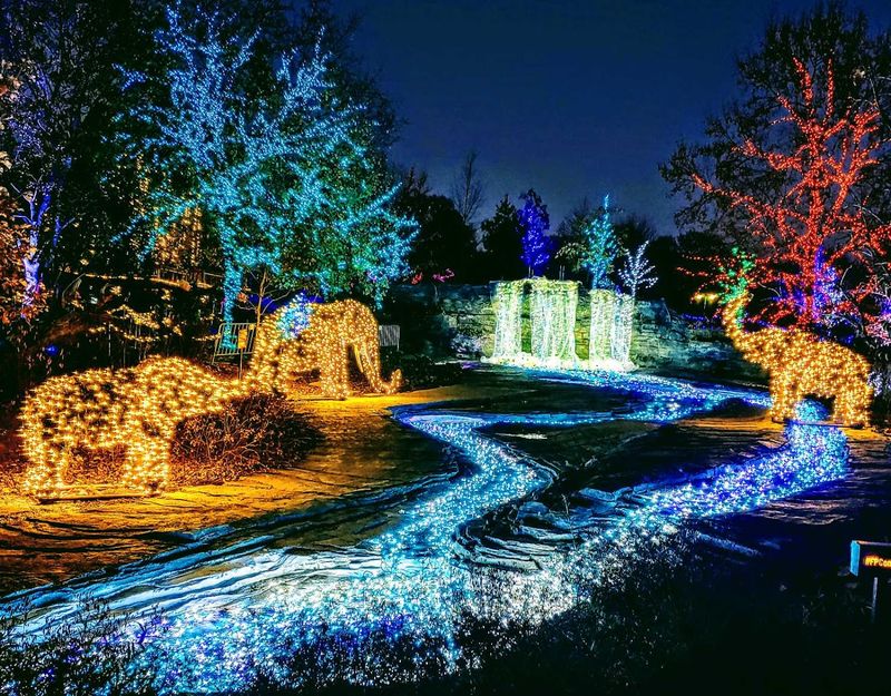 Special Events and Evening Experiences