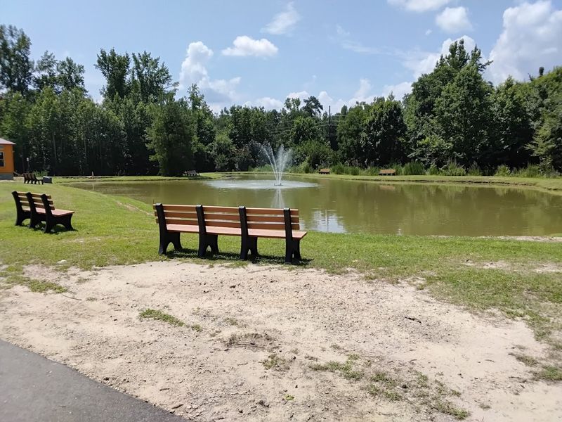 Picture-Perfect Moments Around Every Corner