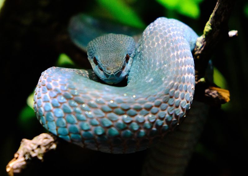 Designed to Inspire Conservation Awareness