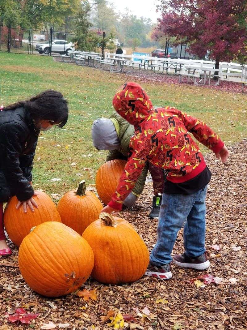 Family-Oriented Events Throughout the Year