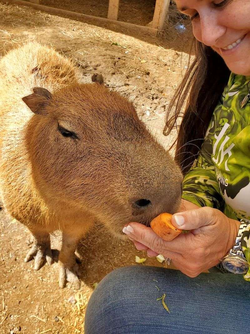 Special Experiences and Add-Ons