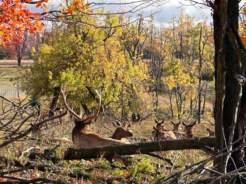 Four Seasons of Beauty That Never Gets Old
