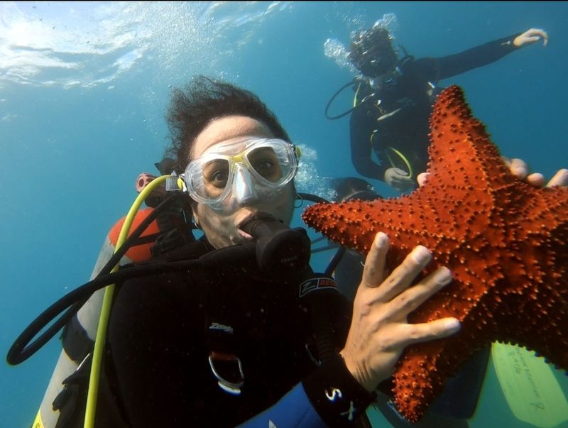 Reading Conditions: Wind, Visibility, And Boat Traffic