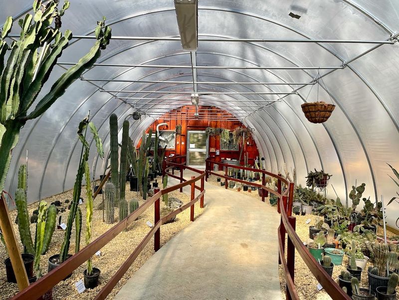 Practical Tips: Hours, Tickets, Amenities