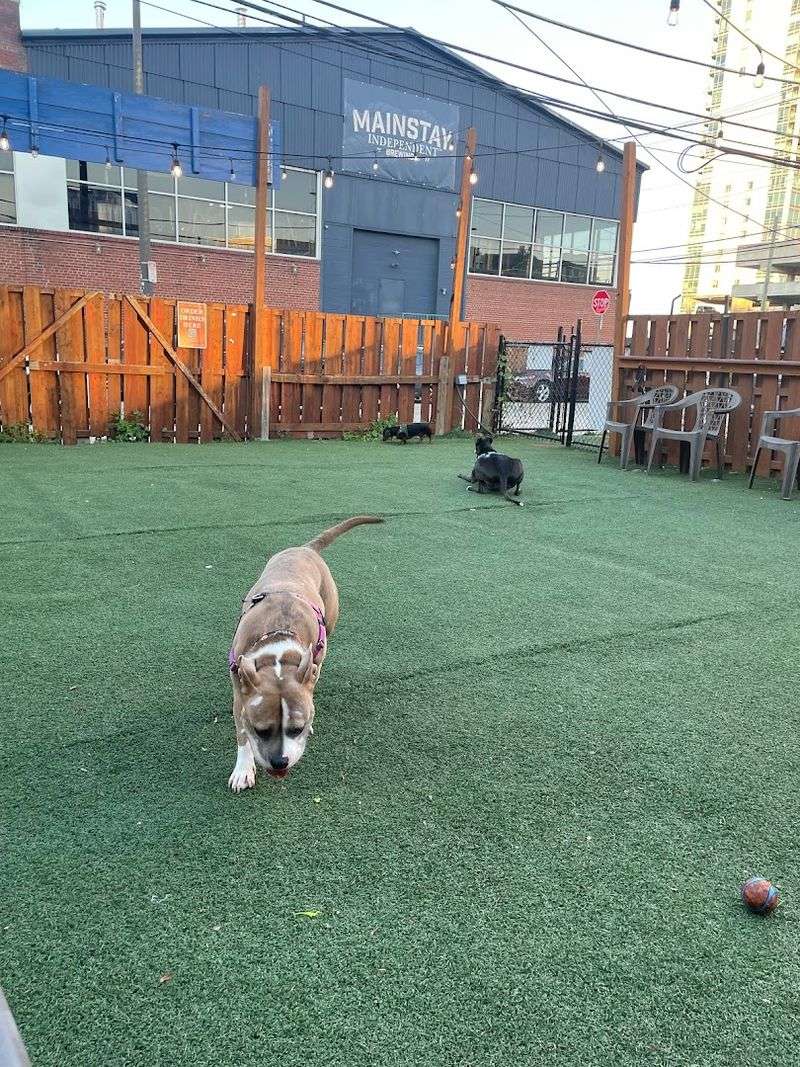 Extras That Go Beyond Typical Beer Halls