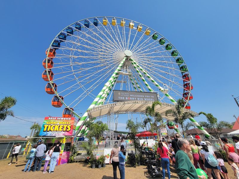 The Heart of the Festival: What It Is and Why It Matters