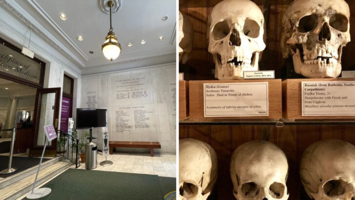 Explore This Pennsylvania Museum Where Science, History, and the Unusual All Meet