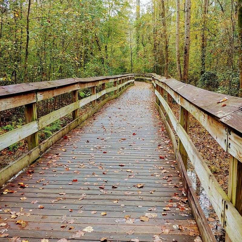 Take the Cape Fear River Trail