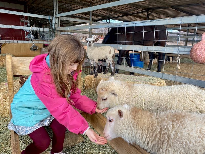 Essential Visitor Tips Before You Go