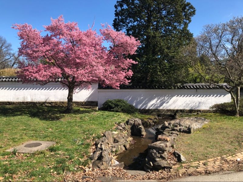 Shofuso Japanese Cultural Center & Garden &ndash; Philadelphia