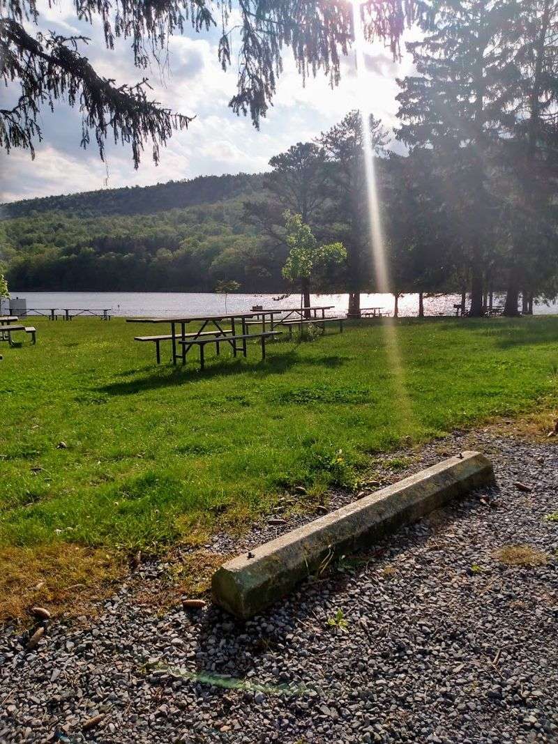 Picnic Areas and Family Amenities