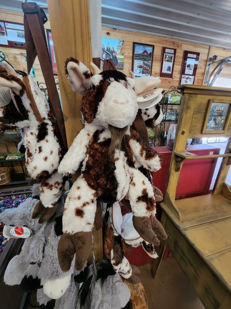 Birthday Parties and Group Outings