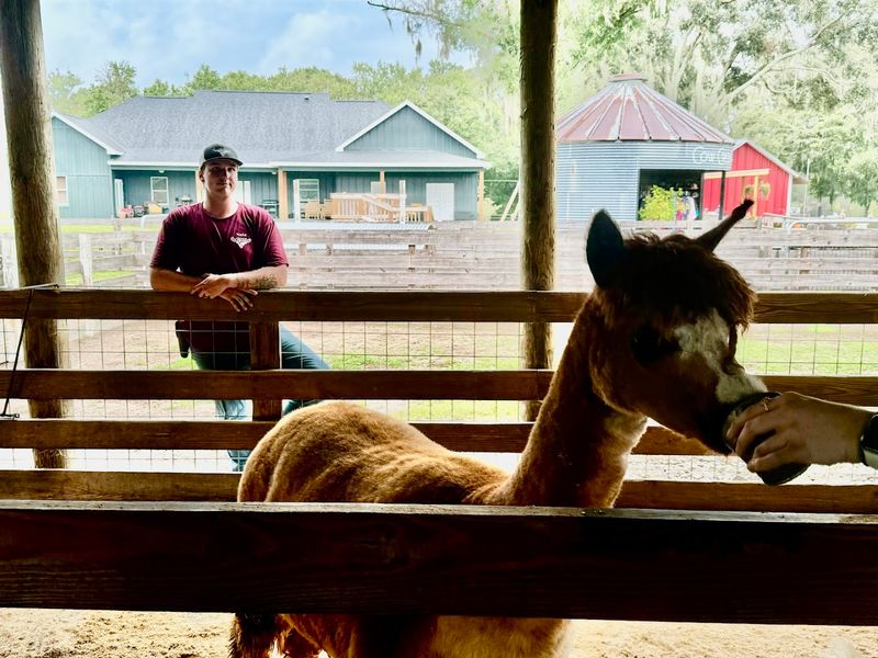 Visitor Reactions and Rave Reviews