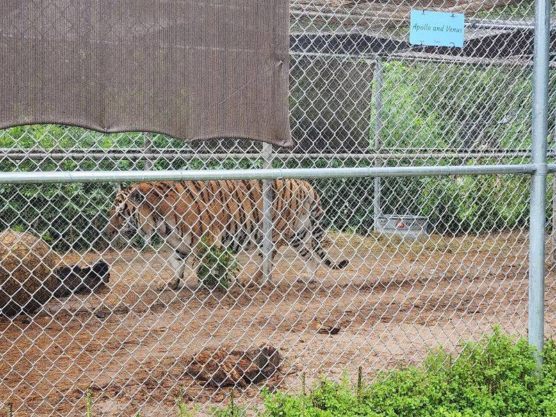 Ways You Can Support The Reserve