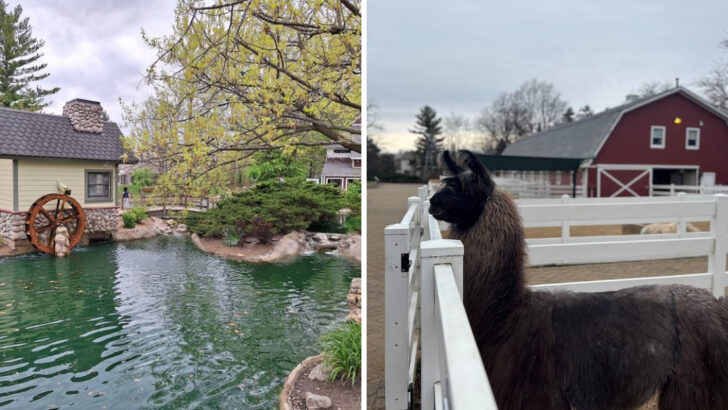 Families All Across Illinois Say This Charming Small-Town Zoo Is So Perfect That Kids Never Want To Leave