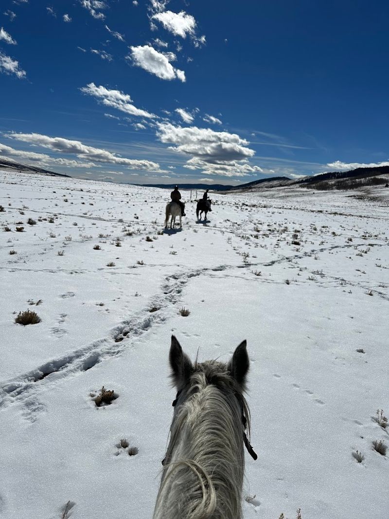 Year-Round Adventure in Every Season