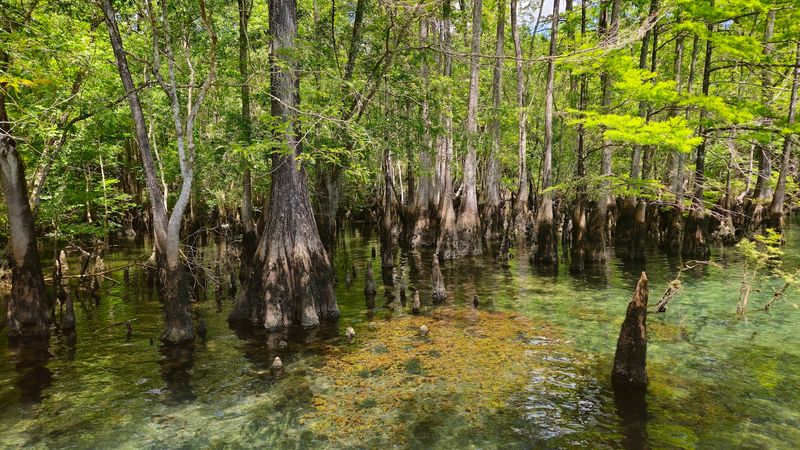 Seasonal Timing, Crowds, and Weather