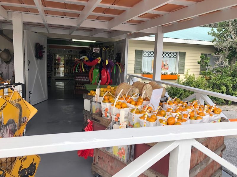 Accessibility And Comfort