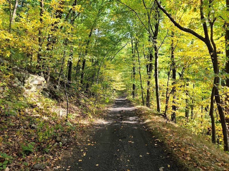 Essential Visitor Info: What to Know Before You Go