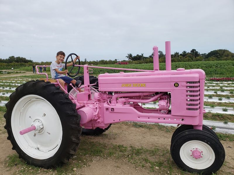 Hayrides and Farm Tours