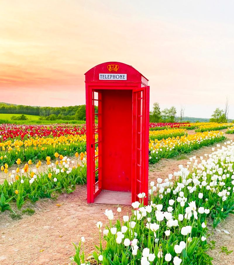 Photography and Social Media Appeal