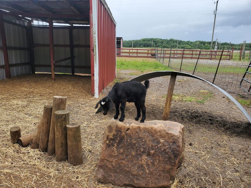 Smart Planning: Hours, Cash, Shade, Water