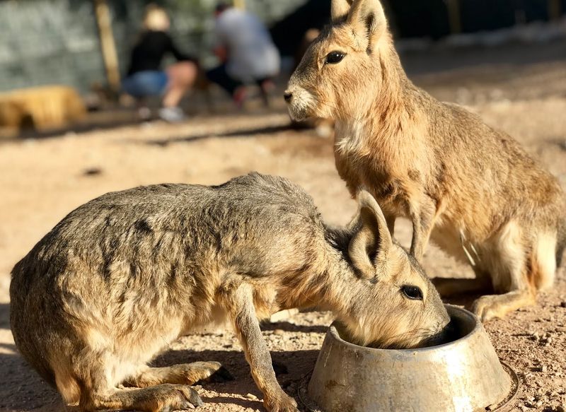 Private Tour Playbook