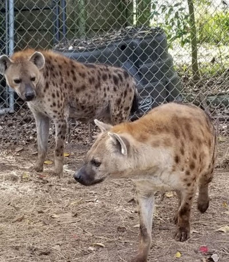 Conservation Stories You Remember