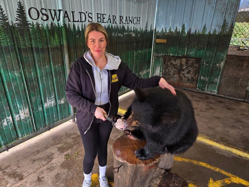 Getting Up Close with Bear Cubs: The Photo Experience