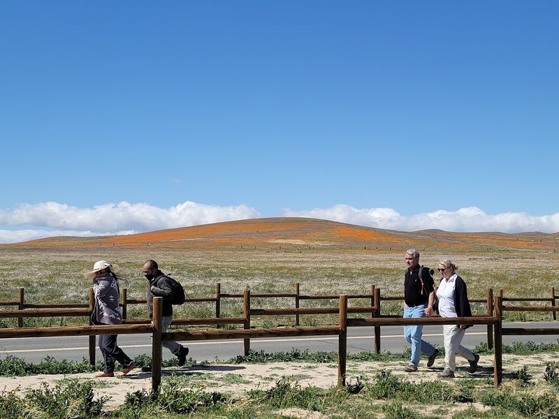 Safety, Snakes, and Smart Movement