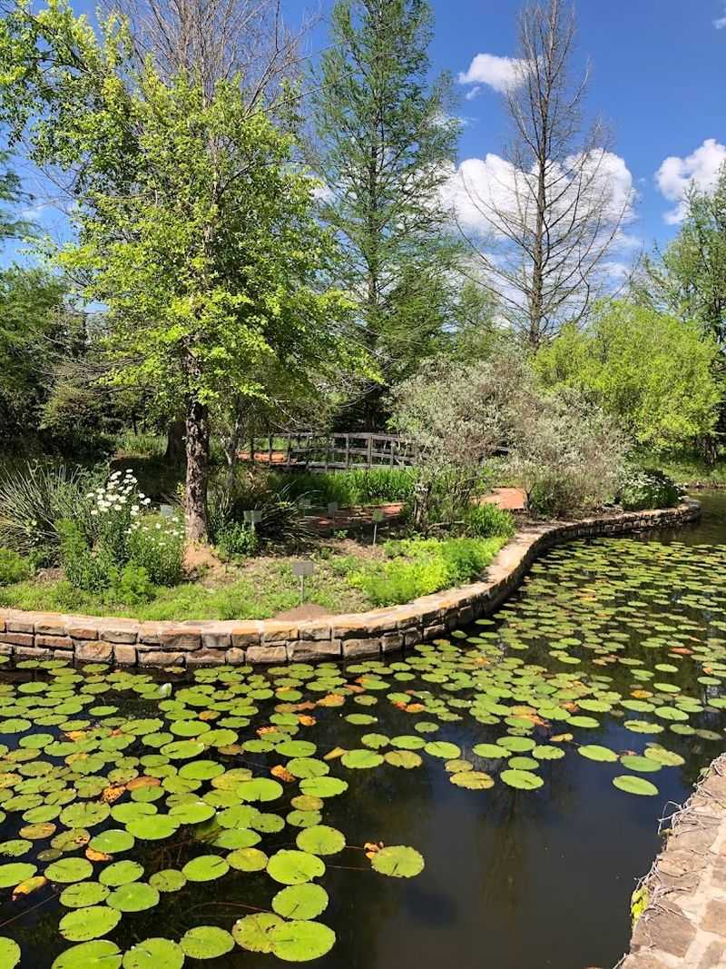 Essential Visitor Information for Clark Gardens