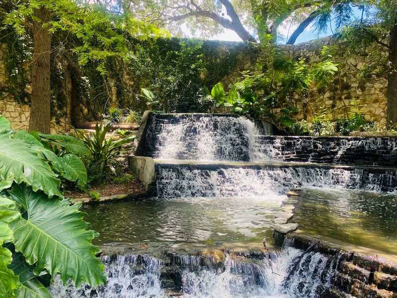 Essential Visitor Tips for Exploring the River Walk