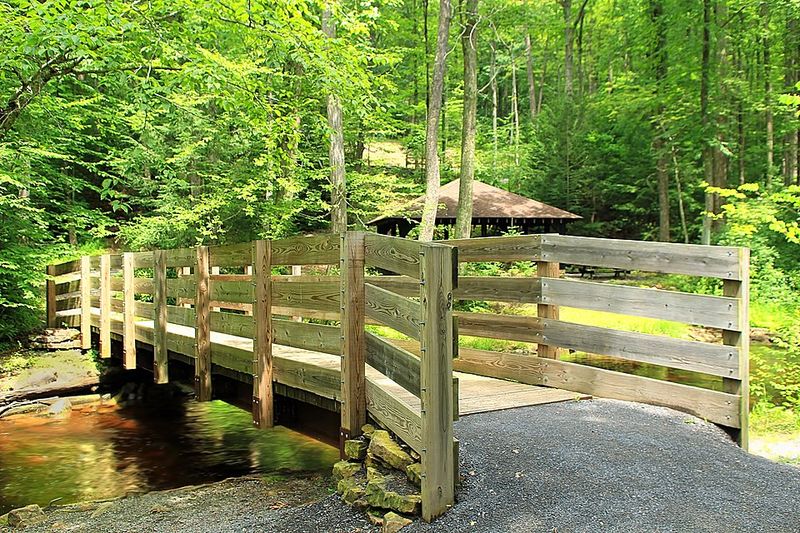 Perfect Picnic Game Plan