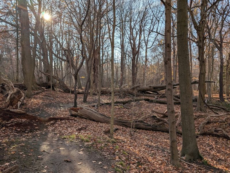 Safety, Ticks, and Trail Conditions