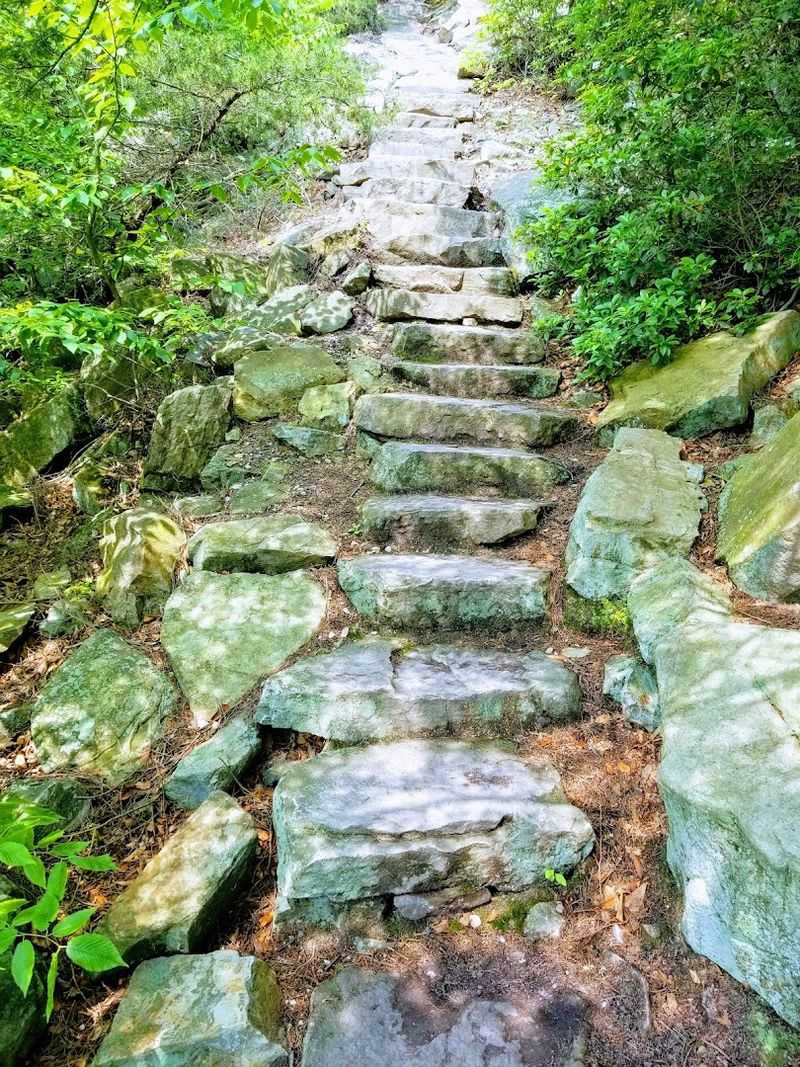 Pacing The 1,000 Plus Steps