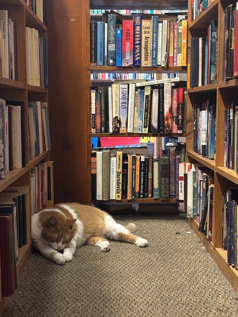 Nonfiction Treasure Routes On The First Floor