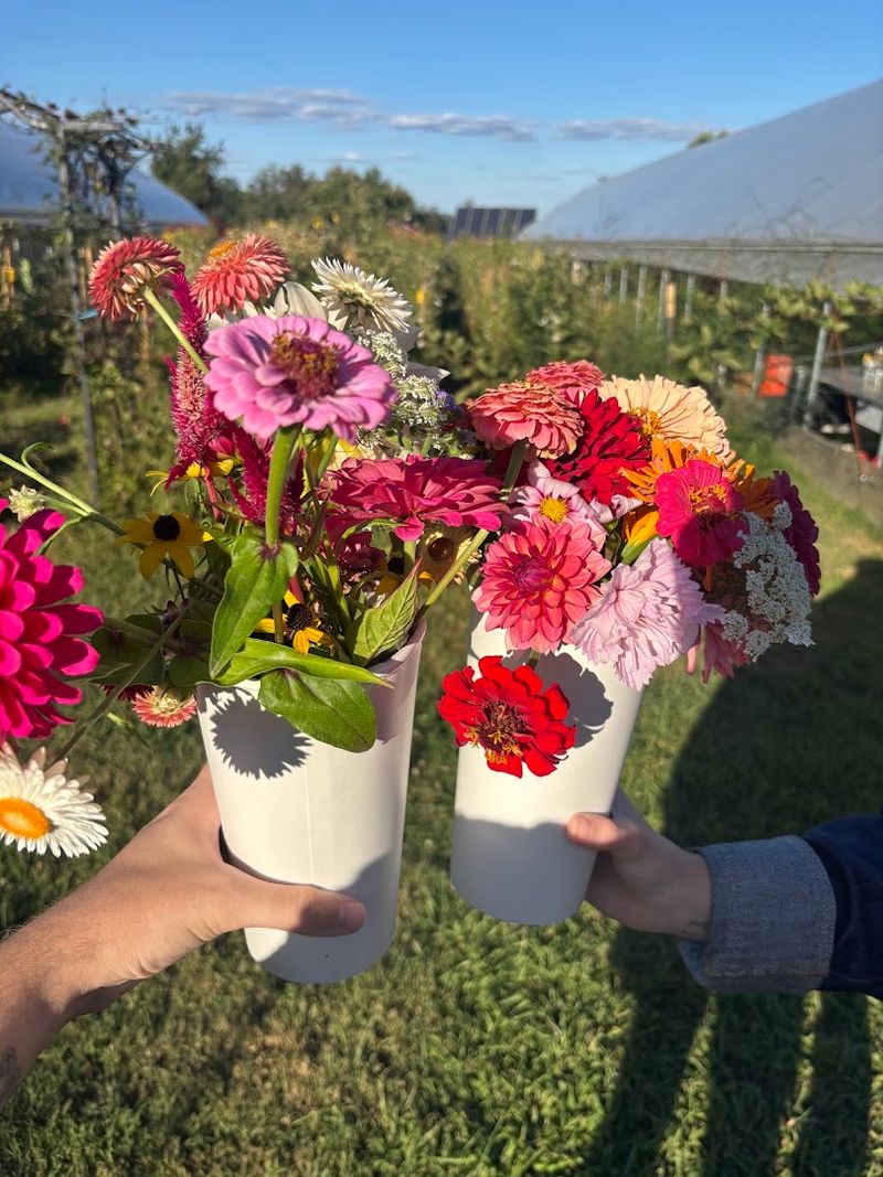 How U-Pick Works, Step by Step